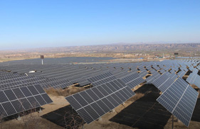 26